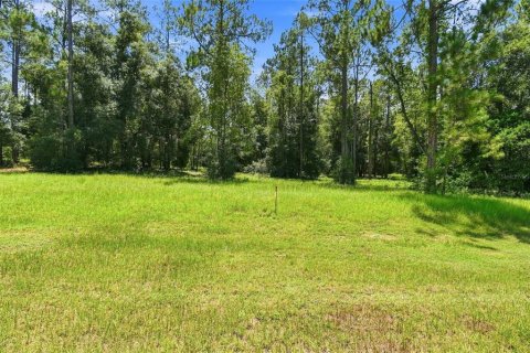 Terreno en venta en Eustis, Florida № 2313092 - foto 3