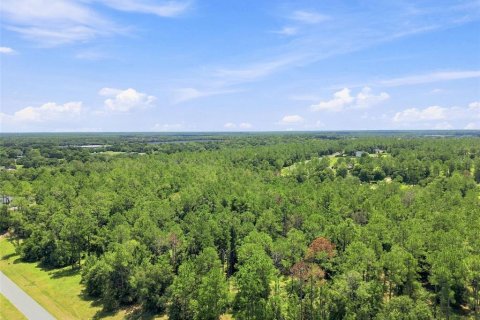 Terreno en venta en Eustis, Florida № 2313092 - foto 8