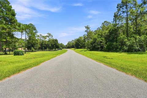 Terreno en venta en Eustis, Florida № 2313092 - foto 7