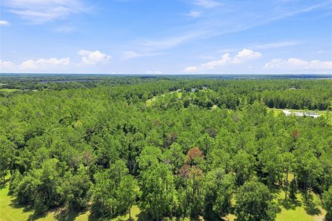 Terreno en venta en Eustis, Florida № 2313092 - foto 9