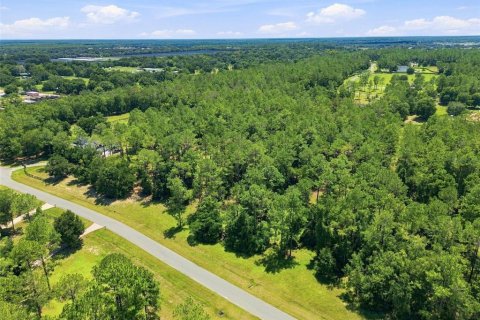 Terreno en venta en Eustis, Florida № 2313092 - foto 11