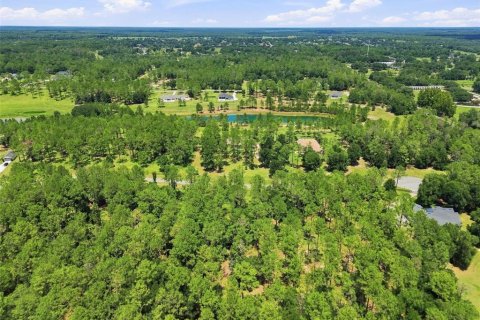 Terreno en venta en Eustis, Florida № 2313092 - foto 12