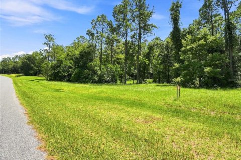 Terreno en venta en Eustis, Florida № 2313092 - foto 6