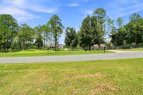 Terreno en venta en Eustis, Florida № 2313092 - foto 5
