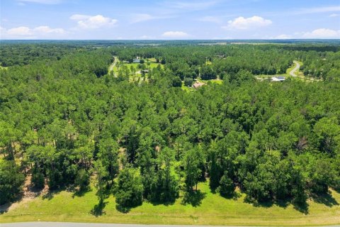 Terreno en venta en Eustis, Florida № 2313092 - foto 10