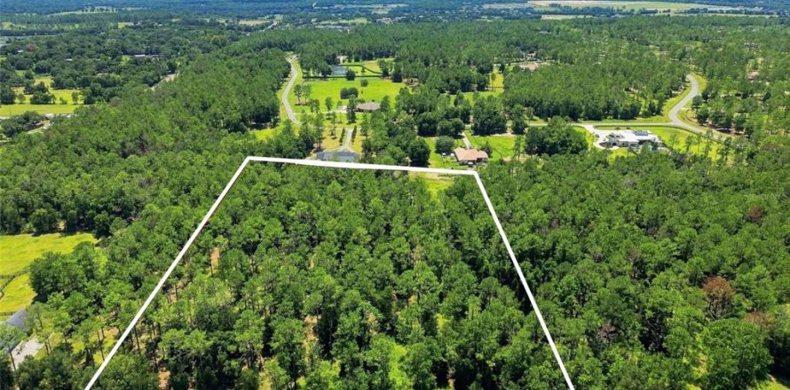 Terreno en Eustis, Florida № 2313092