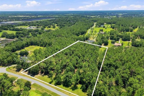 Terreno en venta en Eustis, Florida № 2313092 - foto 4