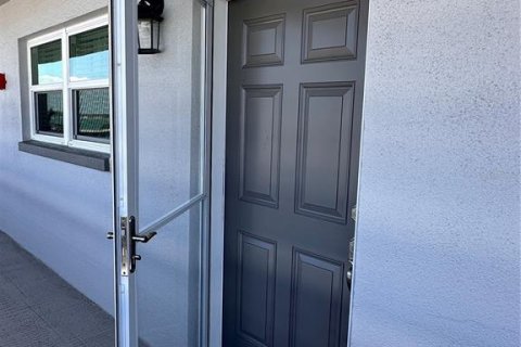 Condo in Gulfport, Florida, 2 bedrooms № 2166306 - photo 3