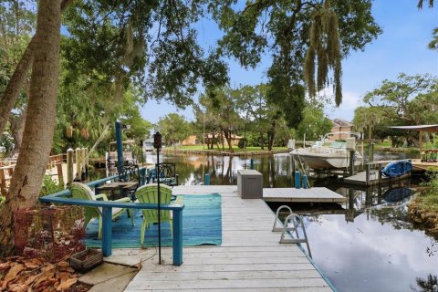 Villa ou maison à vendre à Homosassa, Floride: 3 chambres, 169.36 m2 № 2132468 - photo 6