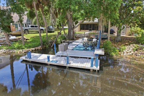 Villa ou maison à vendre à Homosassa, Floride: 3 chambres, 169.36 m2 № 2132468 - photo 5