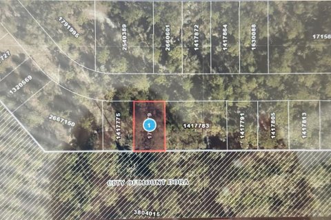 Land in Mount Dora, Florida № 2238523 - photo 2