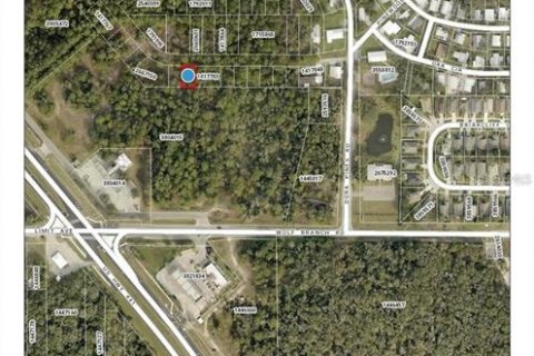 Land in Mount Dora, Florida № 2238523 - photo 3