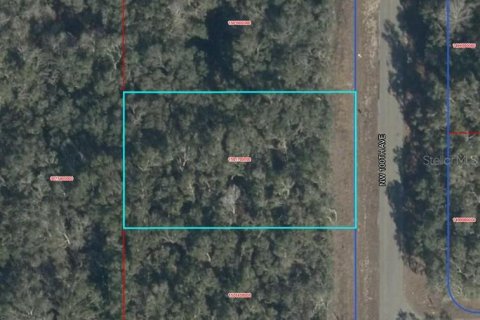 Land in Chiefland, Florida № 2166694