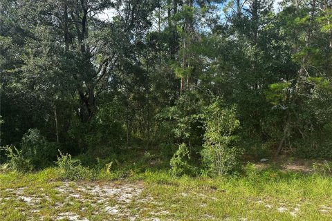 Propiedad comercial en venta en Silver Springs Shores, Florida № 1902214 - foto 15