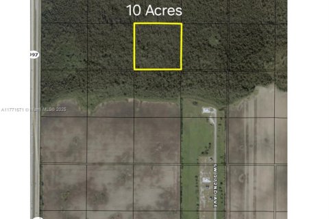 Commercial property in Miami-Dade, Florida № 1692809 - photo 3