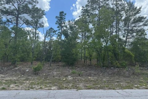 Terrain à Dunnellon, Floride № 2235189