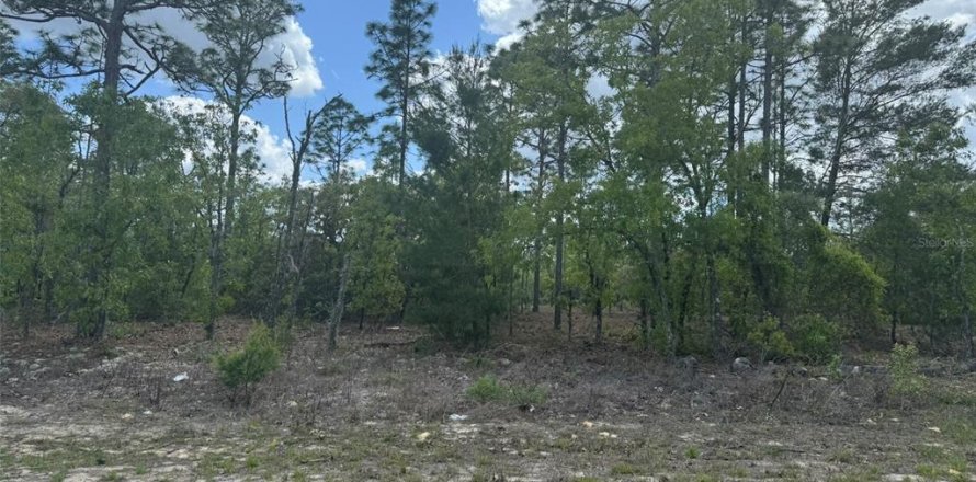 Terrain à Dunnellon, Floride № 2235189