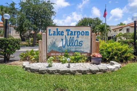 Copropriété à louer à Palm Harbor, Floride: 2 chambres, 90.58 m2 № 2166005 - photo 27