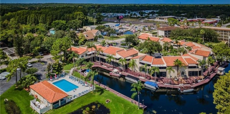 Condo à Palm Harbor, Floride, 2 chambres  № 2166005