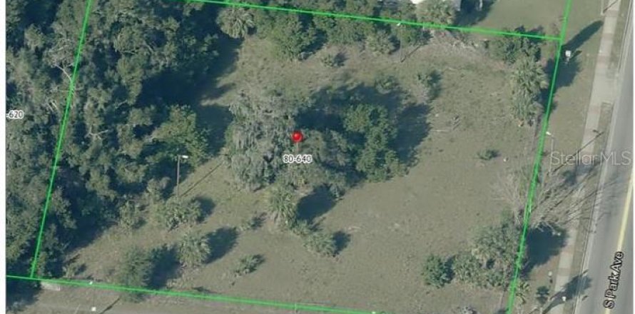 Terrain à Apopka, Floride № 1686839