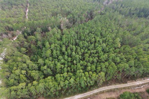 Land in Fort MC Coy, Florida № 2209762 - photo 4