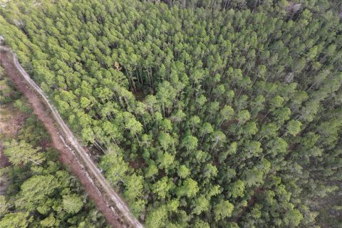 Land in Fort MC Coy, Florida № 2209762 - photo 3