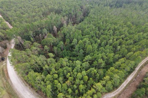 Land in Fort MC Coy, Florida № 2209762 - photo 5