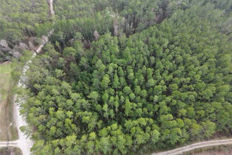 Land in Fort MC Coy, Florida № 2209762 - photo 2