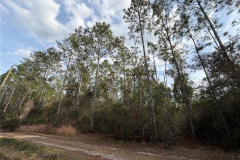 Land in Fort MC Coy, Florida № 2209762 - photo 6