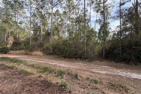 Land in Fort MC Coy, Florida № 2209762 - photo 7