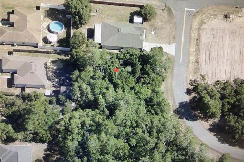 Land in Ocala, Florida № 2226976