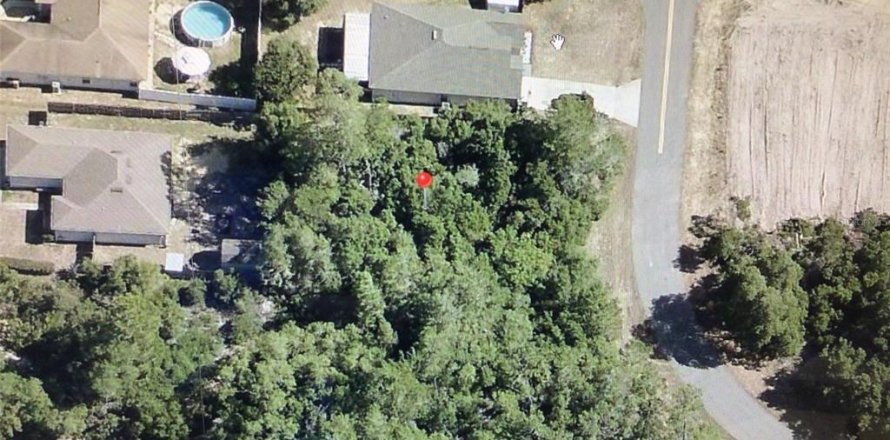Terrain à Ocala, Floride № 2226976