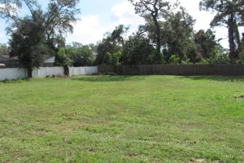 Land in Largo, Florida № 1420696 - photo 7