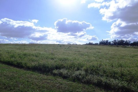 Land in Dunnellon, Florida № 1534097 - photo 3