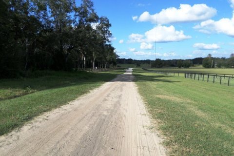Land in Dunnellon, Florida № 1534097 - photo 5