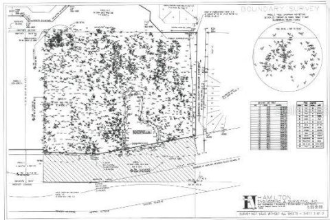 Terreno en venta en Tampa, Florida № 1399174 - foto 10