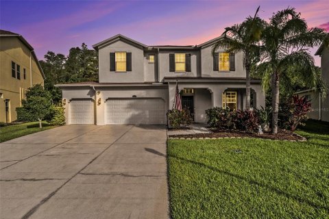 House in Wesley Chapel, Florida 5 bedrooms, 339.84 sq.m. № 1817510 - photo 1