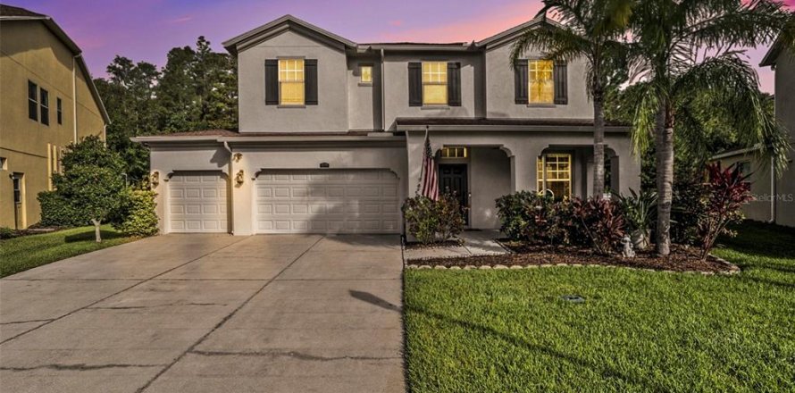 House in Wesley Chapel, Florida 5 bedrooms, 339.84 sq.m. № 1817510