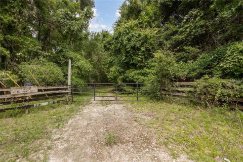 Land in Williston, Florida № 1835101 - photo 1