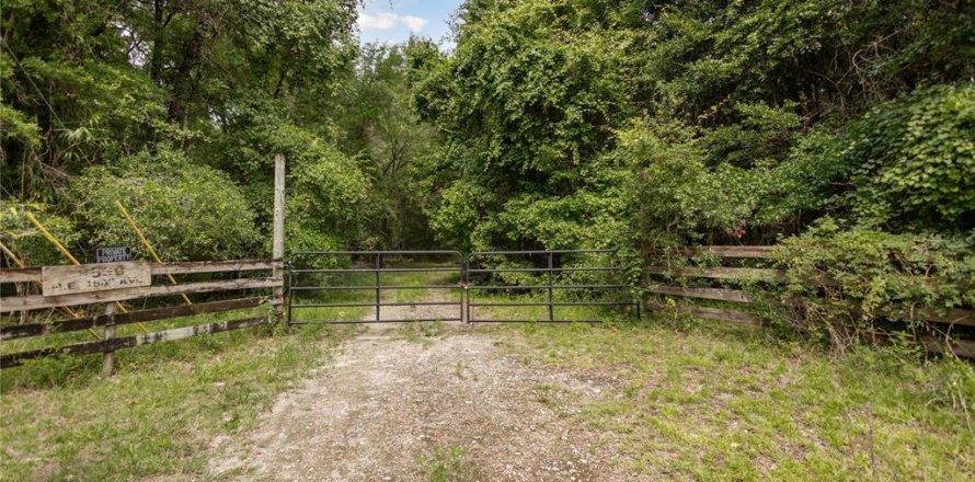 Land in Williston, Florida № 1835101