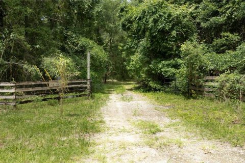 Land in Williston, Florida № 1835101 - photo 2
