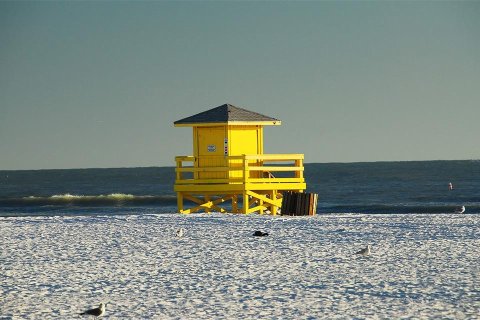 Terreno en alquiler en Sarasota, Florida № 1798574 - foto 26