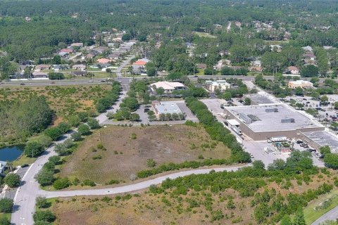 Terreno en venta en Palm Coast, Florida № 1139719 - foto 9