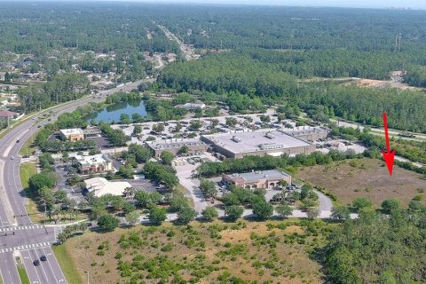 Terreno en venta en Palm Coast, Florida № 1139719 - foto 16