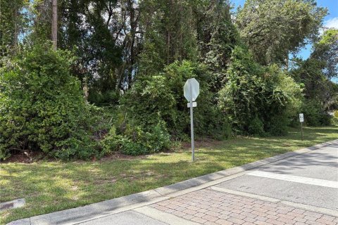 Land in Deltona, Florida № 1805253 - photo 6