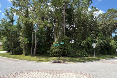 Land in Deltona, Florida № 1805253 - photo 3