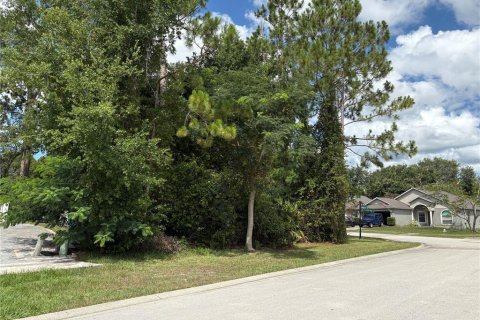 Land in Deltona, Florida № 1805253 - photo 4