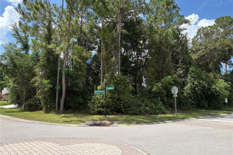 Land in Deltona, Florida № 1805253 - photo 8