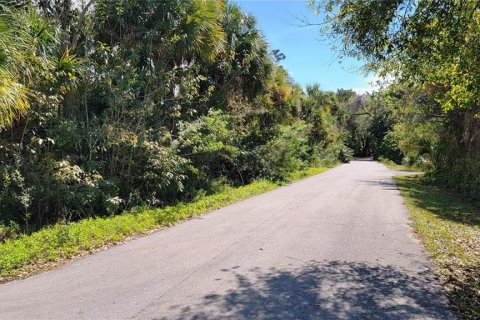 Commercial property in Punta Gorda, Florida № 1657297 - photo 5