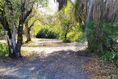 Commercial property in Punta Gorda, Florida № 1657297 - photo 2